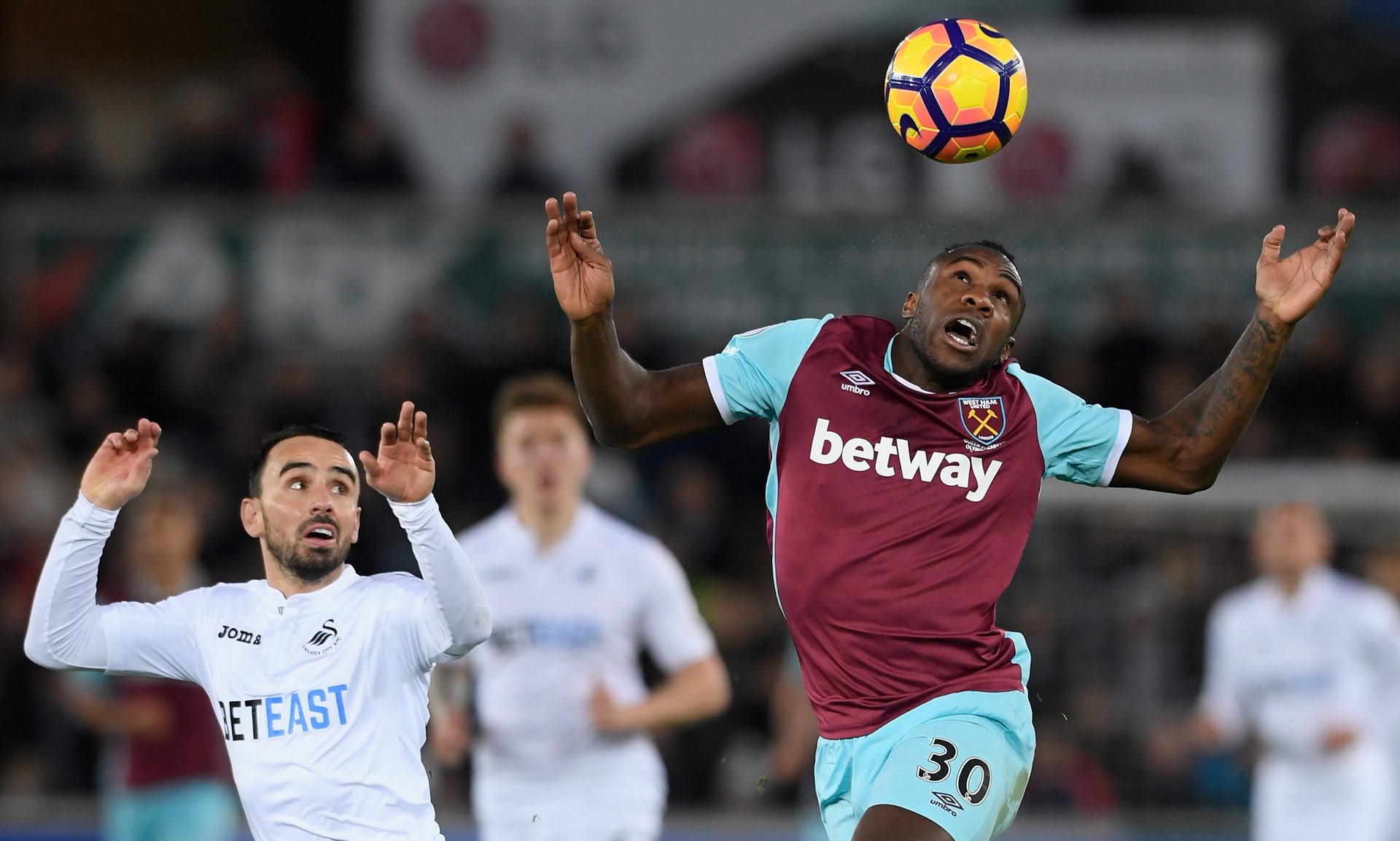 兰的关注焦 兰的关注焦